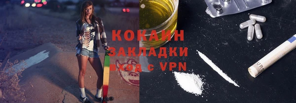 бошки Пересвет