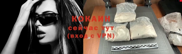гашик Остров