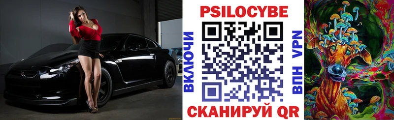 где продают наркотики  Киржач  Галлюциногенные грибы GOLDEN TEACHER 