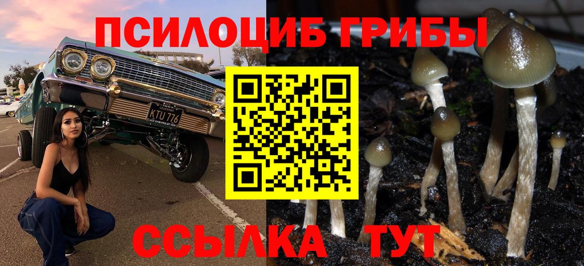 Псилоцибиновые грибы мухоморы Киржач